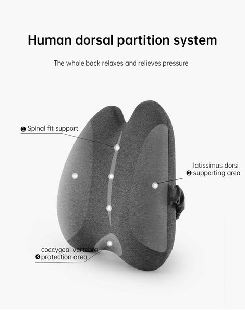 Lab Extra Dense Lumbar Pillow - Patented Ergonomic Multi-Region Firm Back Support for Lower Back Pain Relief - Lumbar Su